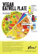 Wall Charts Viva Health