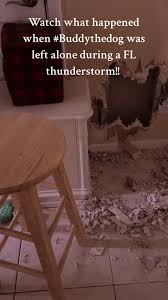 Droopy Dog with Lightning