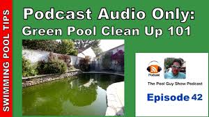 Maybe you would like to learn more about one of these? Green Pool Clean Up 101 How To Turn Your Green Pool Back To Blue And Helpful Tips Youtube
