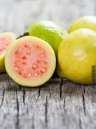 The tropical guava is best adapted to the warm climate of florida and hawaii, although it can be grown in coastal southern california, and with some protection, selected areas north to mendocino county. Cold Hardy White Indian Guava Tree Kens Nursery