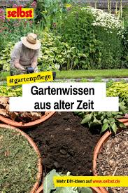 Gartenwissen Aus Alter Zeit Alter Aus Gartenwissen Zeit In 2020 Outdoor Gardens Plants Recycled Garden