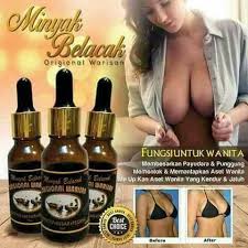 Minyak urut payudara diperlukan oleh seseorang wanita untuk digunakan bagi mengurut payudara mereka. Minyak Belacak