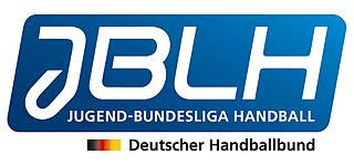 Thw kiel is a handball club from kiel, germany. File Dhb Jblh Logo Jpg Wikimedia Commons