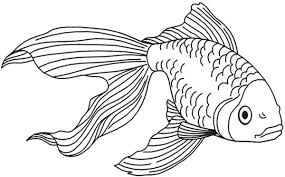 Dessin Poisson Lilo Dessin Poisson Coloriage Poisson Coloriage Animaux