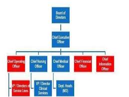 Organizational Structure Ppt