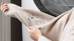 Maybe you would like to learn more about one of these? Reduce And Remove Lint From Clothes And Upholstery