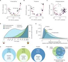 1999 western star 4964 (stock #566) cab & cab parts / cabs. Multi Omic Profiling Reveals Dynamics Of The Phased Progression Of Pluripotency Sciencedirect