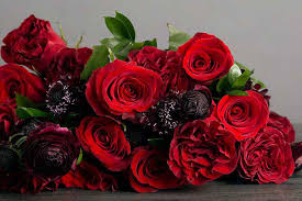 Check spelling or type a new query. Debi Lilly Box Sami Sacha Flowers