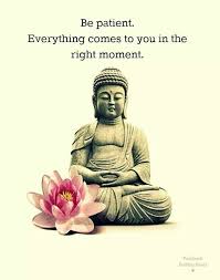 Pin By Abhishek Sakhaparia On Zen Koans Buddha Quote Inspirational Quotes Buddha