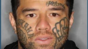 Tall Black centurion Casey Frank returns for another crack at the NBL