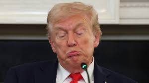 Bar Kazba, Fortitude Valley: New Tel Aviv-themed bar opens with $120  cocktail