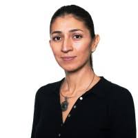 300+ "Giss" profiles