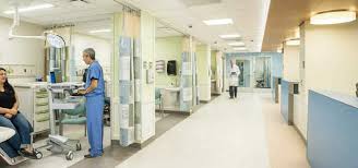 Society of st vincent de paul free dental clinic phoenix. 7 Ways To Find Free Or Affordable Dental Care