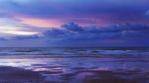 Check spelling or type a new query. Fondos De Pantalla De Aesthetic Pc Fondosmil