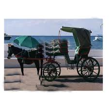 Victoria Horse Carriages - Elegant ...