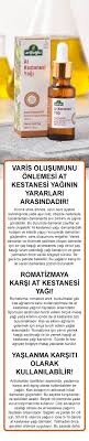 At Kestanesi Yagi Arifoglu Arifoglu At Kestanesi Yagi At Kestanesi Yaginin Faydalari At Kestanesi Nedir At Kestanesi Yagi Dogal Saglik Dogal Sifali Otlar
