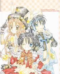 The Incomplete Manga-Guide - Manga: Arina Tanemura Collection