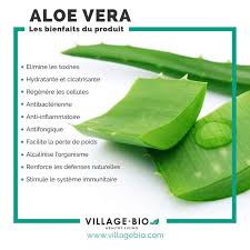 Fordelene Med Aloe Vera Aliments Bons Pour La Sante Alimentation Et Sante Nutrition