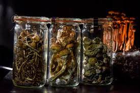 Psilocybin Effective For Major Depression Study Finds Shots Health News Npr