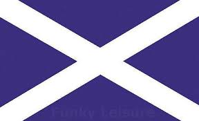 The flag is called the saltire or the saint andrew's cross. Flag Of Scotland St Andrew S Cross