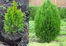 Осенний период