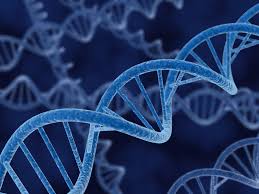 Θεματα βιολογιασ (α' β' γ')γυμνασιου 1. Chemistry Blog 8emata Biologias 8etikhs
