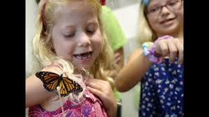 Bull riding, strongman competition bring crowds to day two of 4-H & FFA  Fair