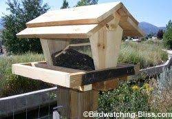 Stubborn stains in a bird bath are usually caused by. Free Bird Feeder Plans Step By Step Build An Easy Bird Feeder Bird Feeder Plans Bird Feeders Bird Houses