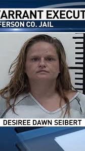 Batavia woman arrested after police execute search warrant