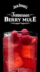Make Your Lazy Summer Day Berry Relaxing This Easy Cocktail Recipe Pairs Jack Daniel S With Cocktail Recipes Easy Alcohol Drink Recipes Drinks Alcohol Recipes