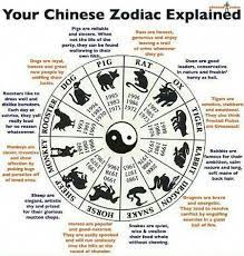 Please note this version is only used in chinese (see other version if japanese is your audience). 10 Zodiac Sign Ideas Chinese Zodiac Signs Zodiac Numerology