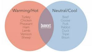 Is Your Dogs Diet Making Them Crazy Darwins Pet Food