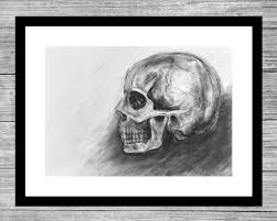 Black And White Profile Pictures Drawing Skull Sketch Profile By Veronica Lamb Black And White Charcoal Drawing Original Framed Skull Artwork Gothic Art Macabre Art Calavera Skull Sketch Drawings Skull Artwork