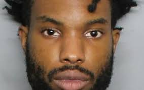 Reef balls' at Blue Marsh Lake help grow aquatic habitat