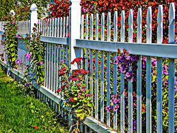 I've explored some of the most interesting white picket fence ideas, so you can see how easy it is to match it with every yard and house style out there. White Picket Fence Fence Flowers Garden White Picket Fence Free Image From Needpix Com