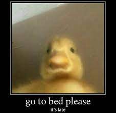 Go To Bed Please Its Late Cute Memes Funny Memes Stupid Funny Memes