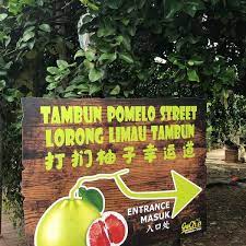 Jadi cara terbaik untuk pembiakan pokok limau, tidak kiralah apa juga jenisnya adalah melalui keratan batang. Go Chin Pomelo Farm