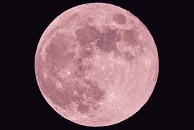 The strawberry moon will be the last 'super moon' of the year. Everything You Need To Know About Tonight S Strawberry Moon According To An Astrologer Sleek Magazine