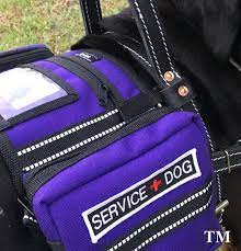 Service Dog Vest That Attaches To Harness Backpack Style Vest Service Dogs Service Dogs Gear Service Dog Vests