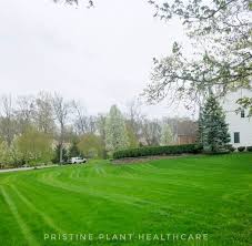 Check spelling or type a new query. Lawn Care Pristine Plant Healthcare Llc