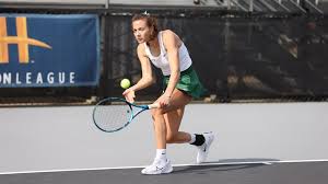 Image result for Emilia libeniana