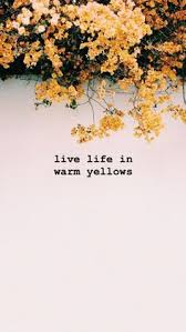 Aesthetic pastel wallpaper aesthetic backgrounds aesthetic wallpapers tumblr wallpaper cool wallpaper backgrounds in yellow orange color patterns textures design backgrounds for mobile. 860 Aesthetic Yellow Ideas Yellow Aesthetic Yellow Aesthetic