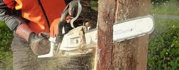 Maybe you would like to learn more about one of these? Best Chainsaws For 2021 Reviewed Appliance Reviewer