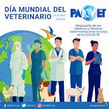 ¡feliz día del veterinario, colega!. Panvet On Twitter En El Marco Del Dia Mundial Del Veterinario 2021 Reconocemos El Trabajo Que Realizaron Las Medicas Y Medicos Veterinarios Durante La Pandemia Covid19 Diamundialdelveterinario Wvd2021 Worldvetday Https T Co Caxs96xaoo