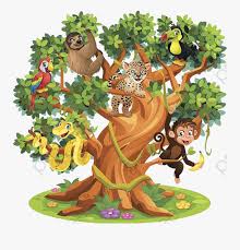 The rainforest and the seasonal forest. Tropical Rain Forest Species Cartoon Tropical Rainforest Drawing Free Transparent Clipart Clipartkey