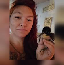 How to keep a duck pen dry?