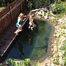 Diy Swimming Pool Thehomesteadingboards Comthehomesteadingboards Com Diy Swimming Pool Natural Swimming Ponds Backyard Pool