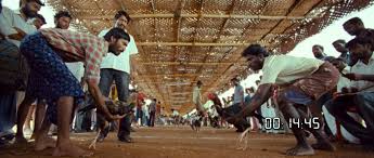 Reviewpuram - Aadukalam (2011) Dir. Vetrimaaran *ing Dhanush Looking back on the actor-director duo's work on the eve of #VadaChennai's release. Pettaikaran, a veteran and guru in rooster fighting, loses his cool