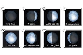 El ciclo completo, denominado lunación, es de 29,53 días. Las Fases De La Luna Y Sus Influencias Descubre Los Detalles