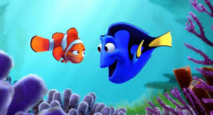 Please understand that our phone lines must be clear for urgent medical care needs. How Well Do You Remember Finding Nemo Thequiz